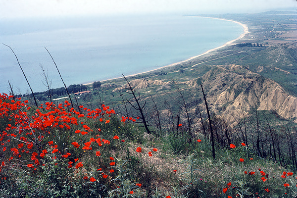 The Nek Suvla Bay